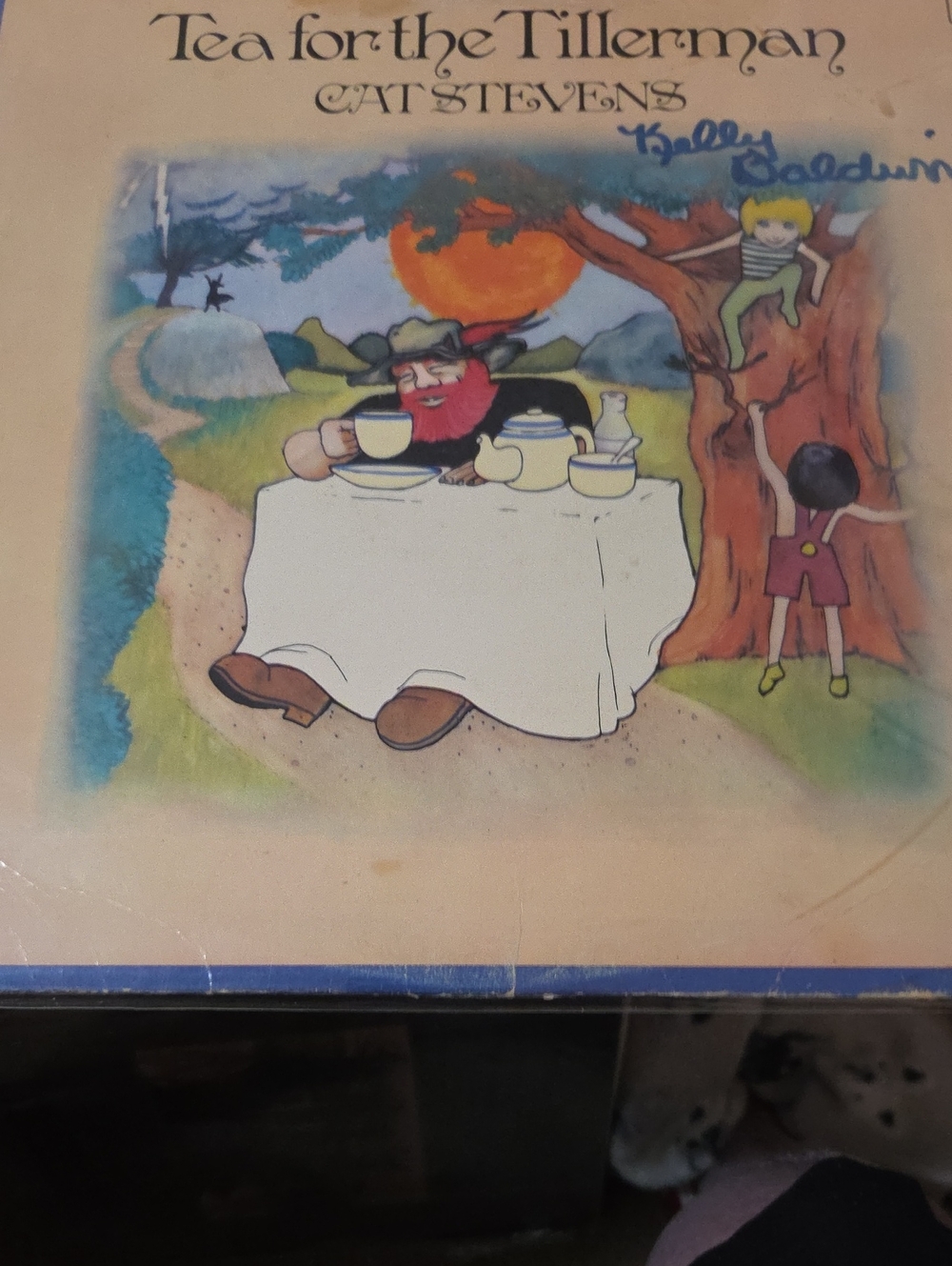 CAT STEVENS : Tea for the Tillerman Album VINTAGE 1970.1ST PRESSING NEAR MINT CO